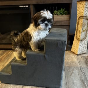Proof of delivery
