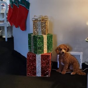Proof of delivery