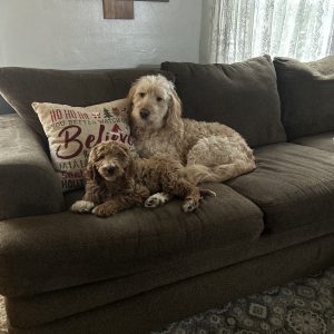 Proof of delivery
