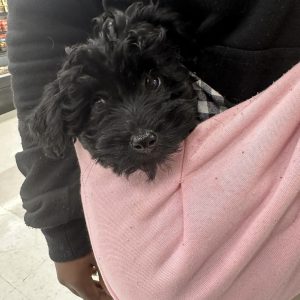 Proof of delivery