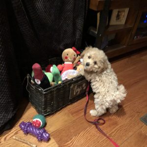 Proof of delivery